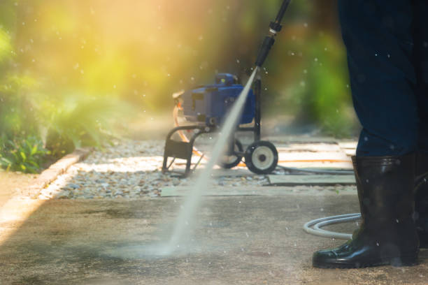 Animal Enclosure Cleaning in Mason, MI